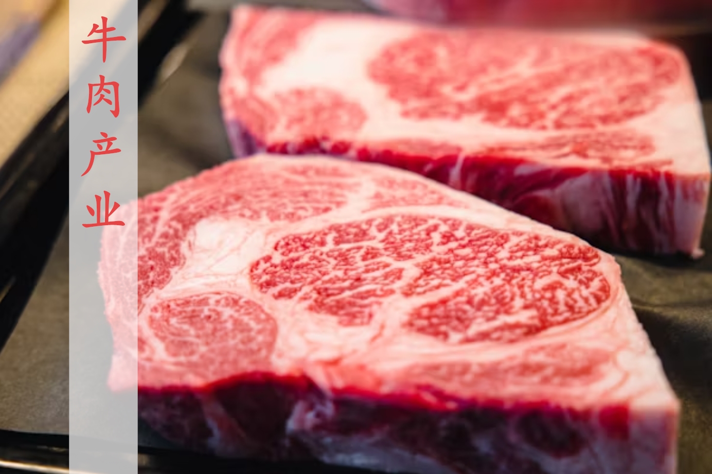 肉牛行业半年激变！2025年肉牛市场回顾和展望